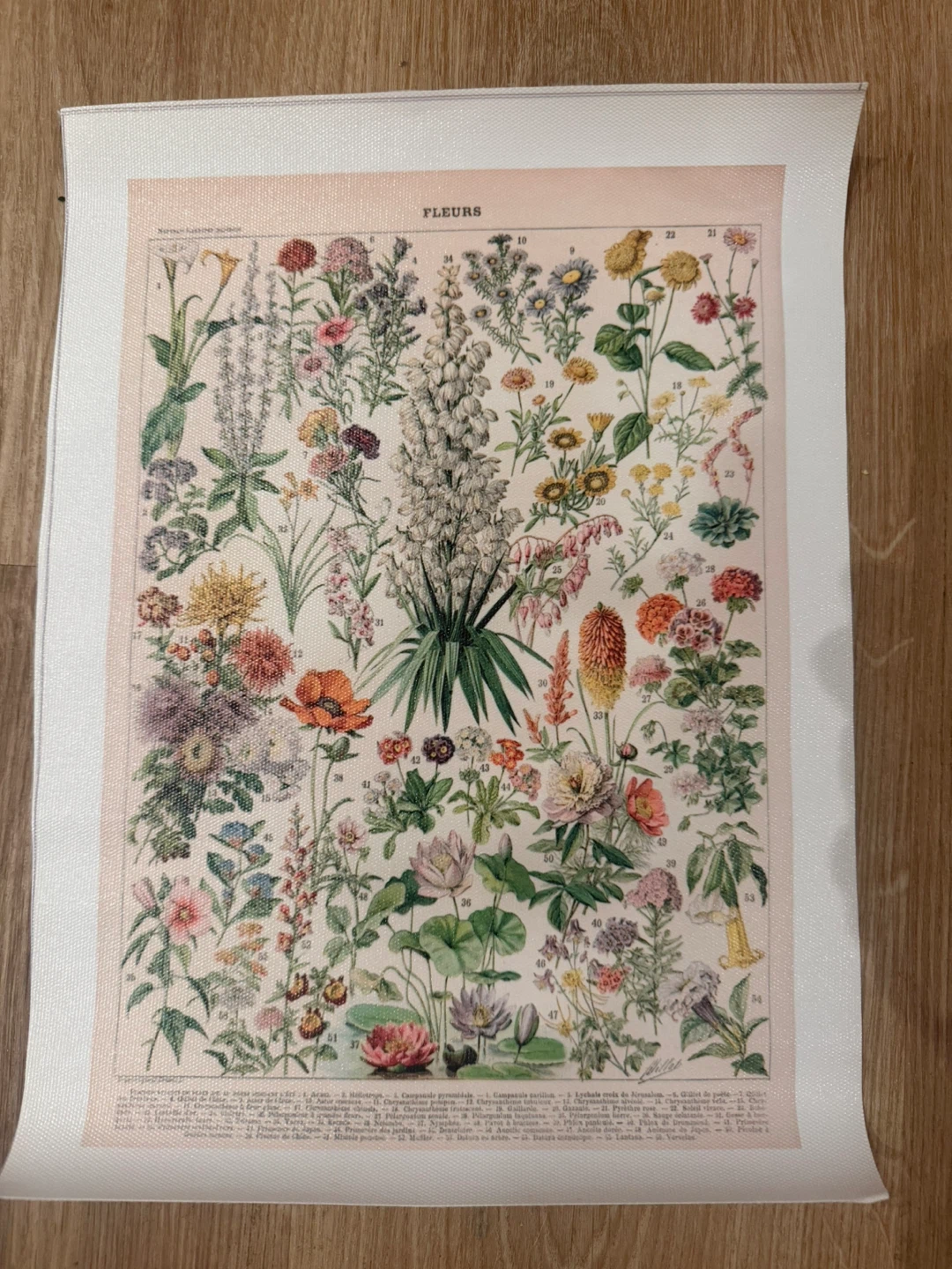 Vintage Botanical Flower Print Poster - photo 2