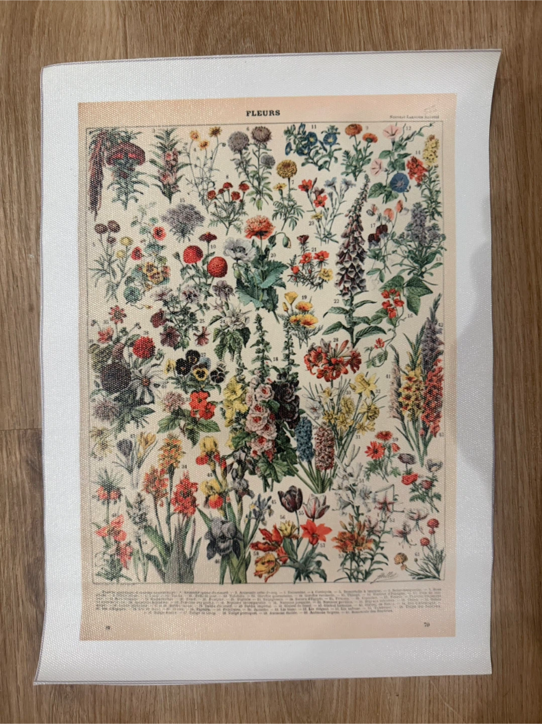 Vintage Botanical Flower Print Poster - photo 3