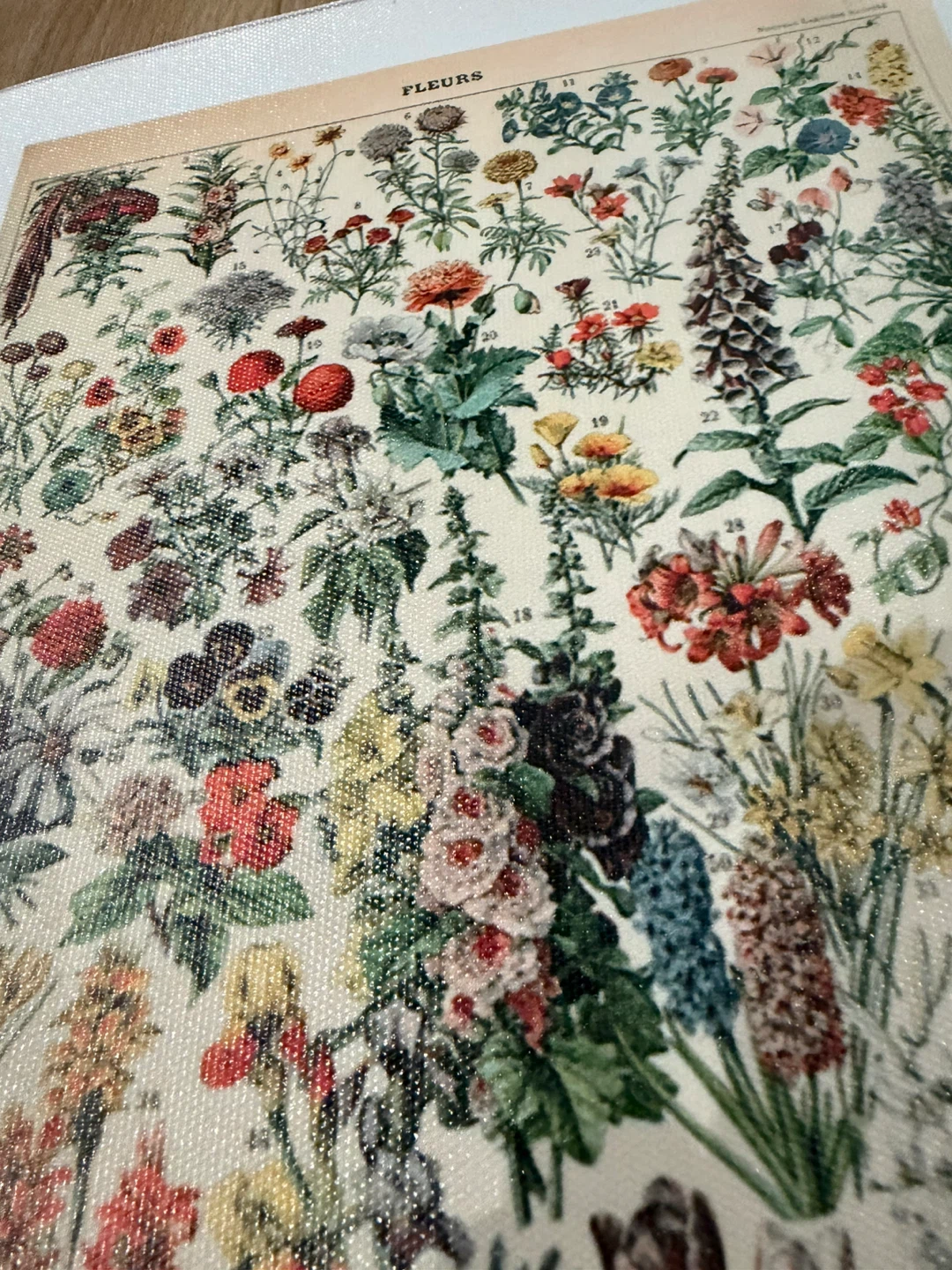 Vintage Botanical Flower Print Poster - photo 4