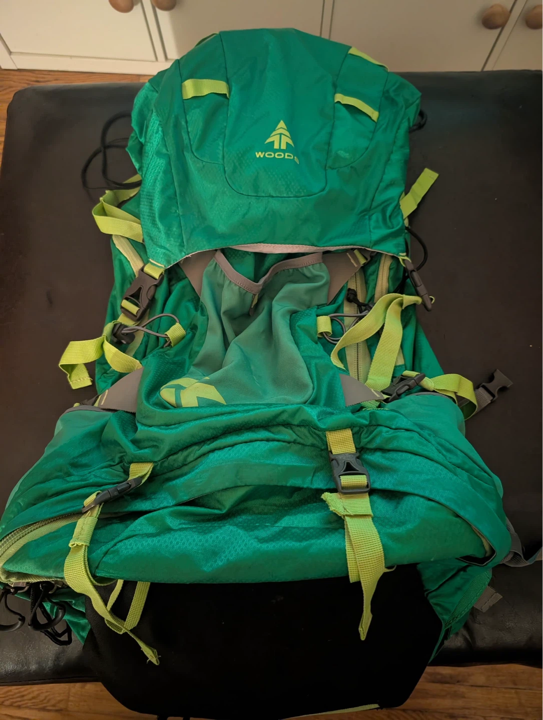 Woods Green camping Backpack - photo 2