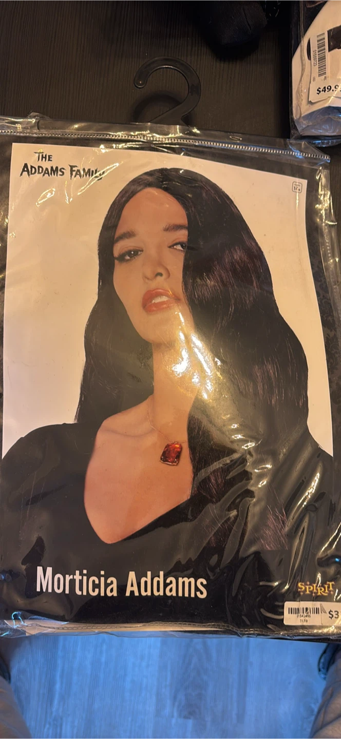 The Addams Family Morticia Addams Costume