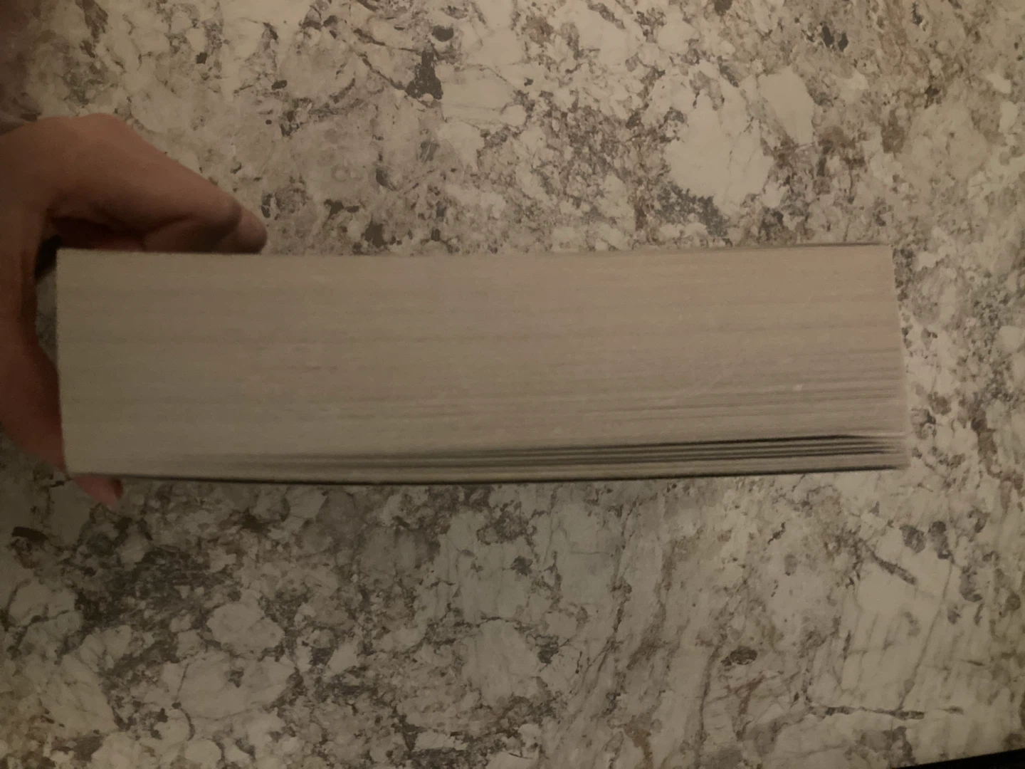 lady midnight - cassandra clare (ya novel) - photo 4