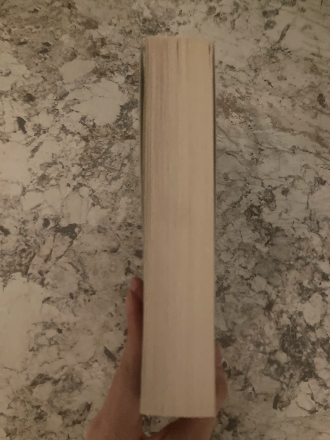 ninth house - leigh bardugo (ya novel) - photo 4