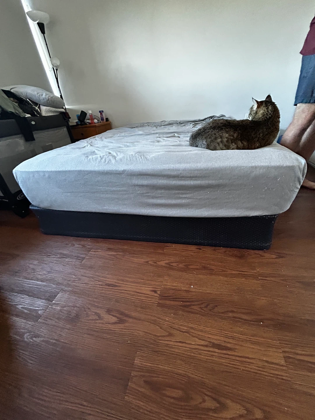 Box Spring Bed Frame - Queen Size