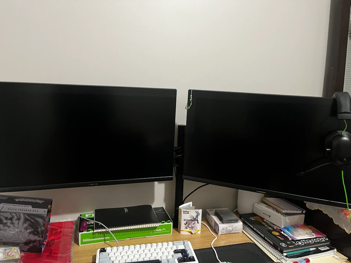 ASUS Gaming Monitors + dual monitor stand