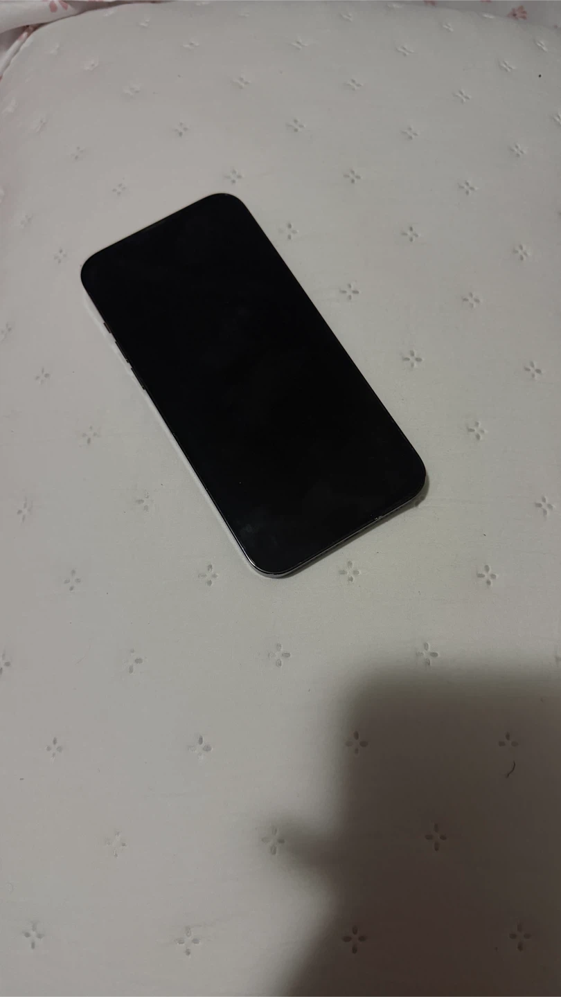 Apple iPhone 13 Pro Max Alpine Green - photo 2