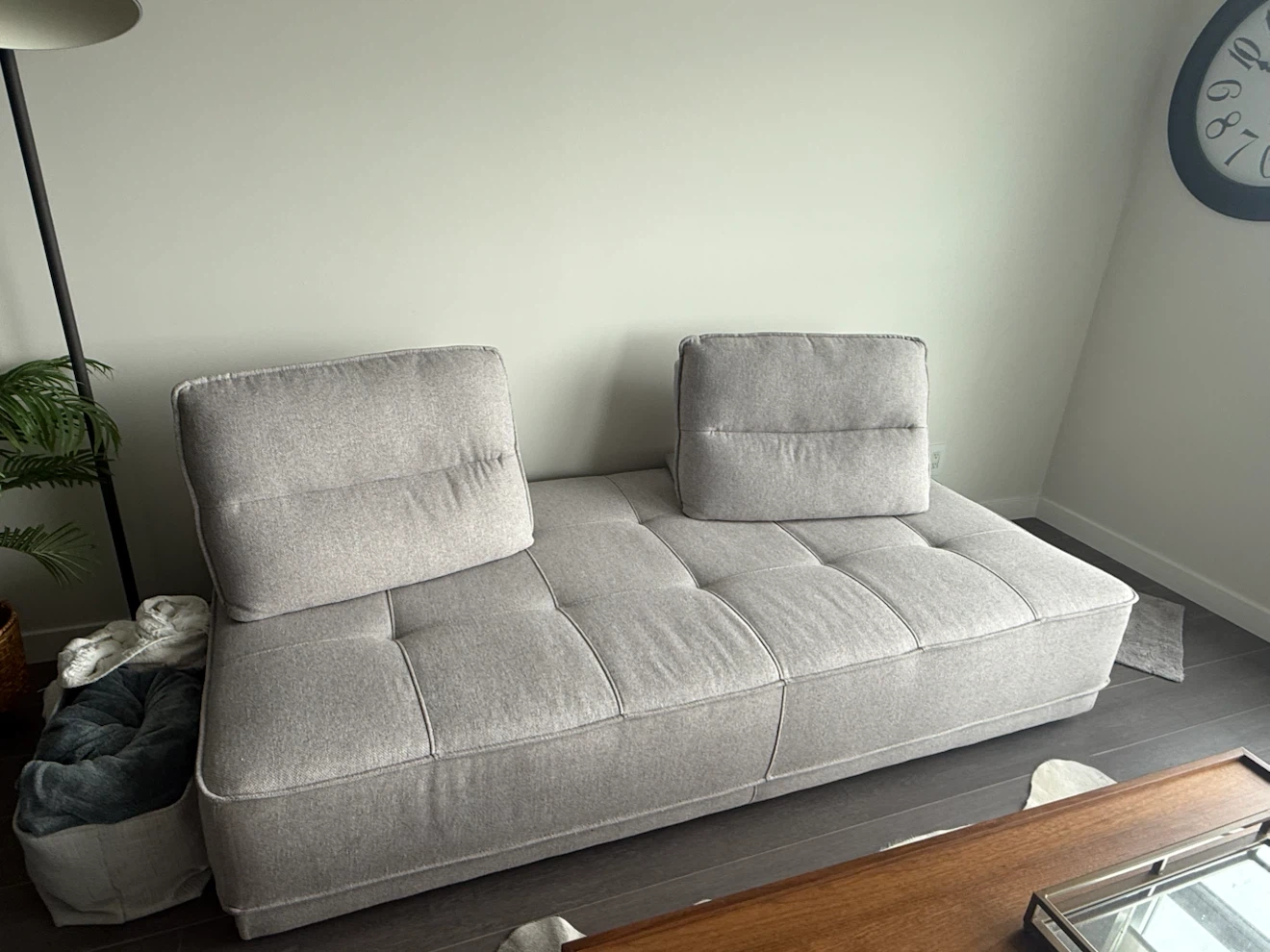 Chameleon modern sofa