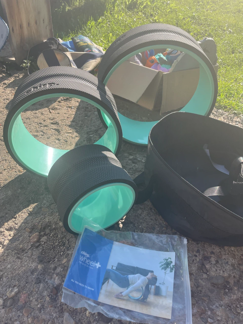 Chirp Wheel+ Set with Carrying Case - photo 3