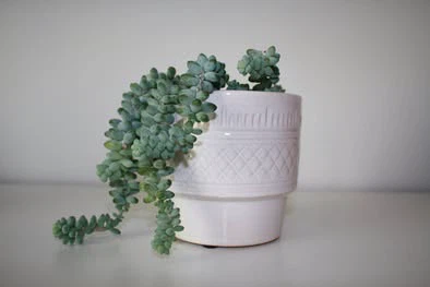 NEW plant pot - photo 3
