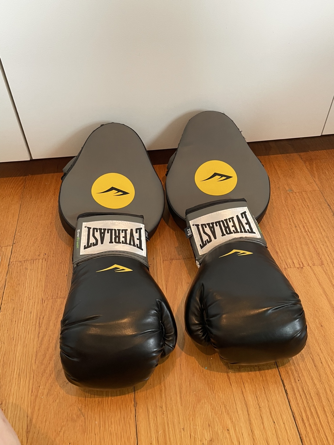 Boxing Gloves & Punching Mitts