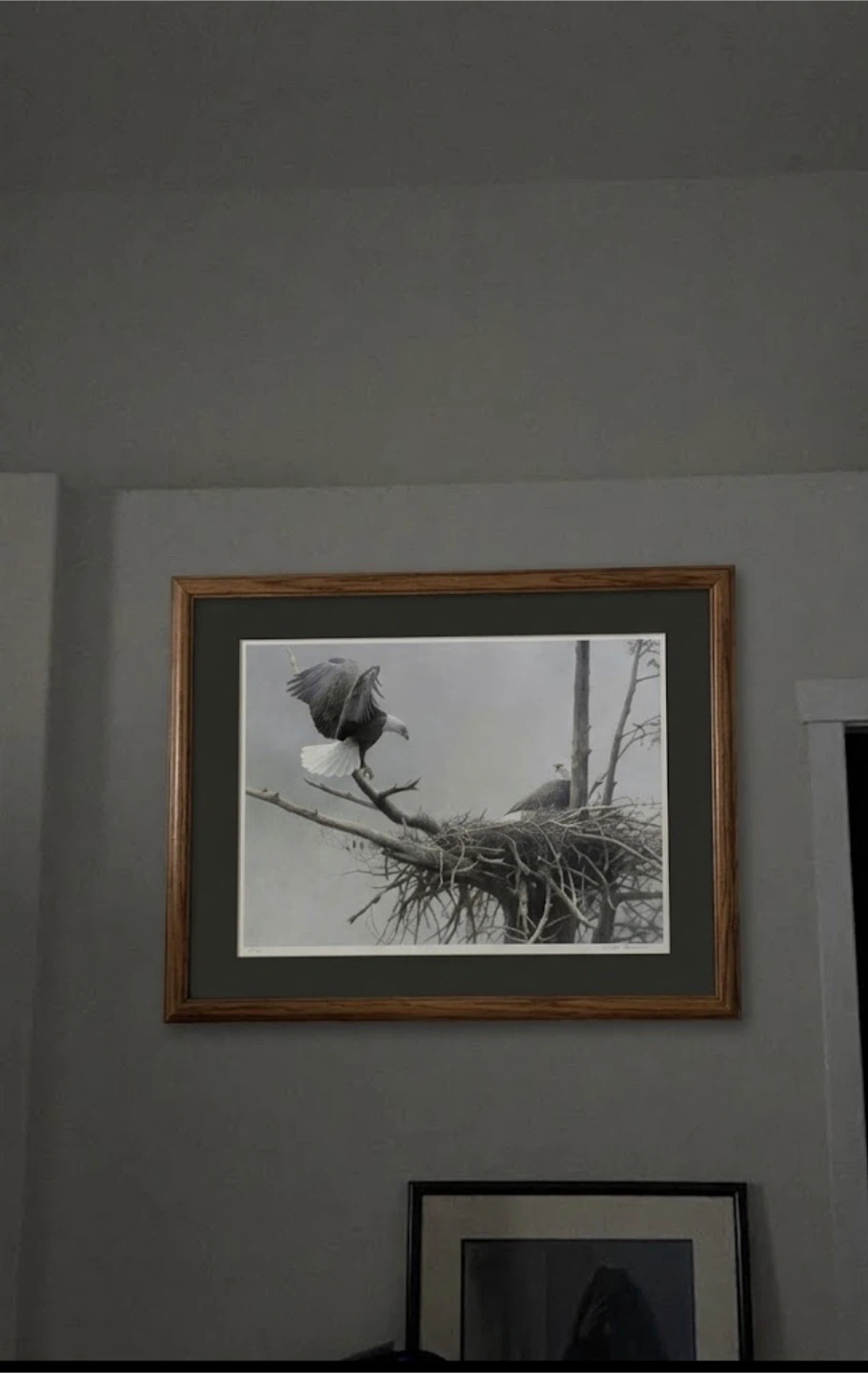 Robert Bateman Bald Eagle Art Print in Frame - photo 2