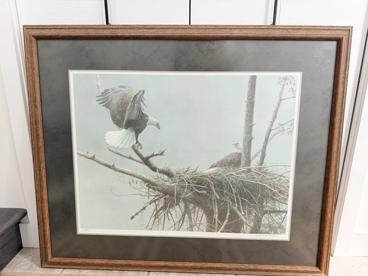 Robert Bateman Bald Eagle Art Print in Frame - photo 3