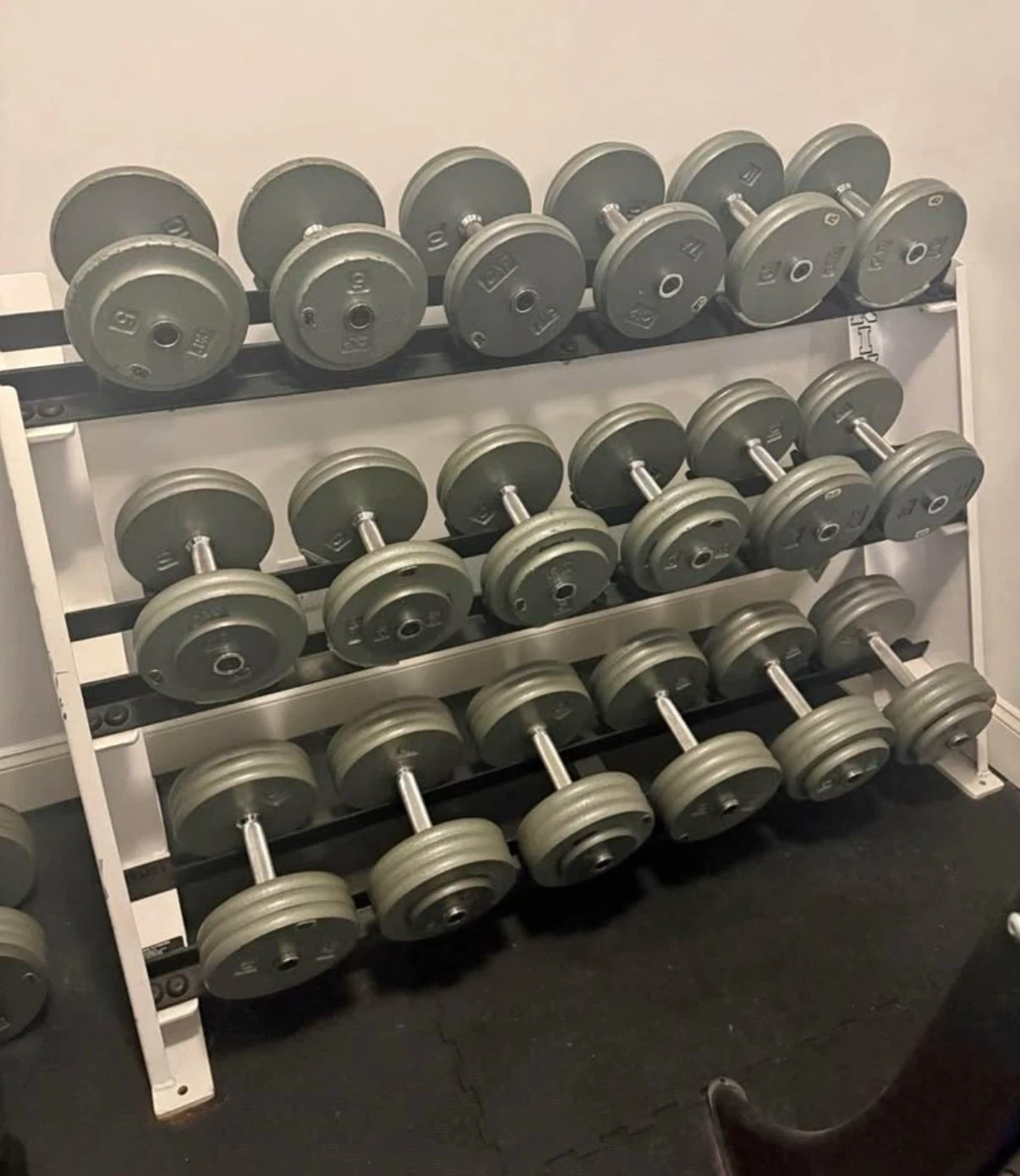 Steve Kent’s Home & Commercial GYM & Exercise Equipment - photo 3