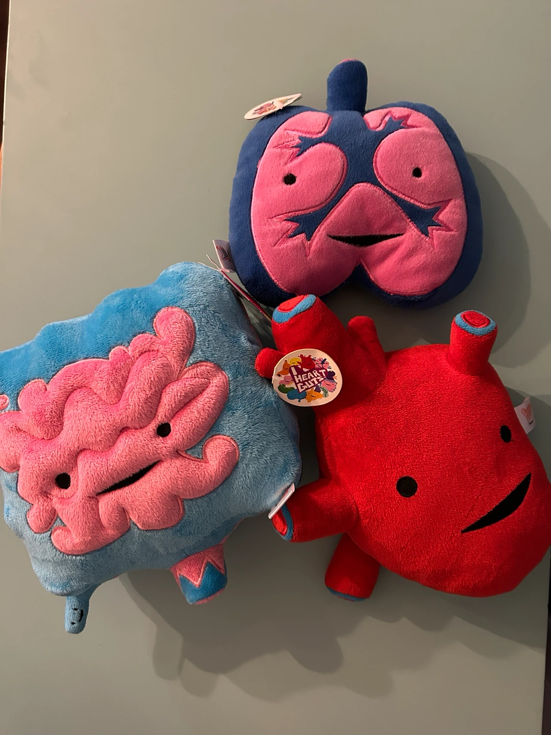 Assorted I Heart Guts Plush Toys ($5 each)