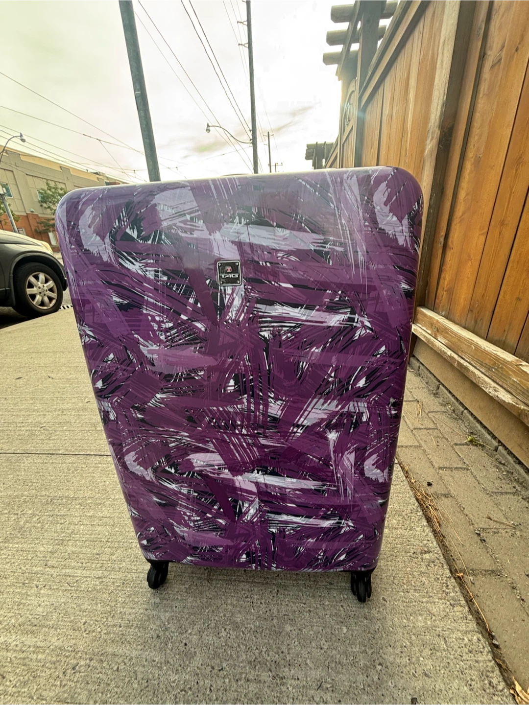 TAG Purple Abstract Print Hardside Spinner Luggage