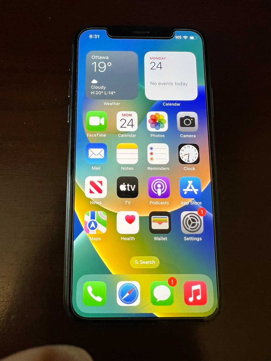 iPhone X