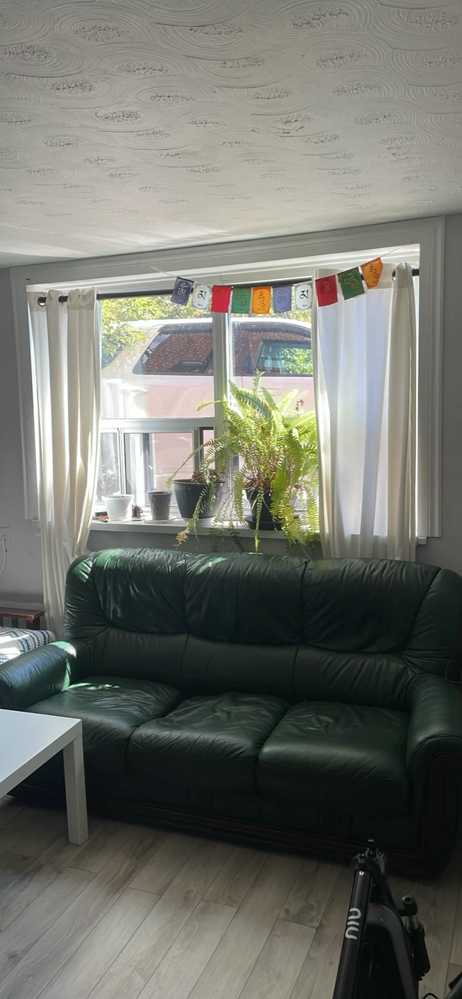 Dark Green Leather Sofa