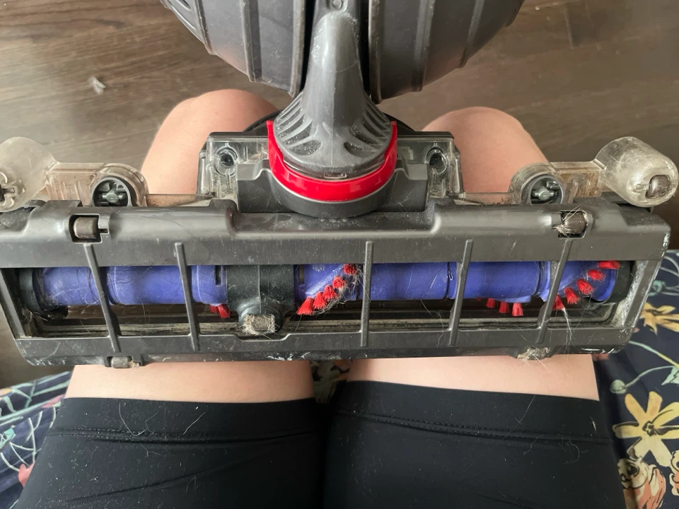 Dyson Ball Animal 2 Vacuum Cleaner - photo 3