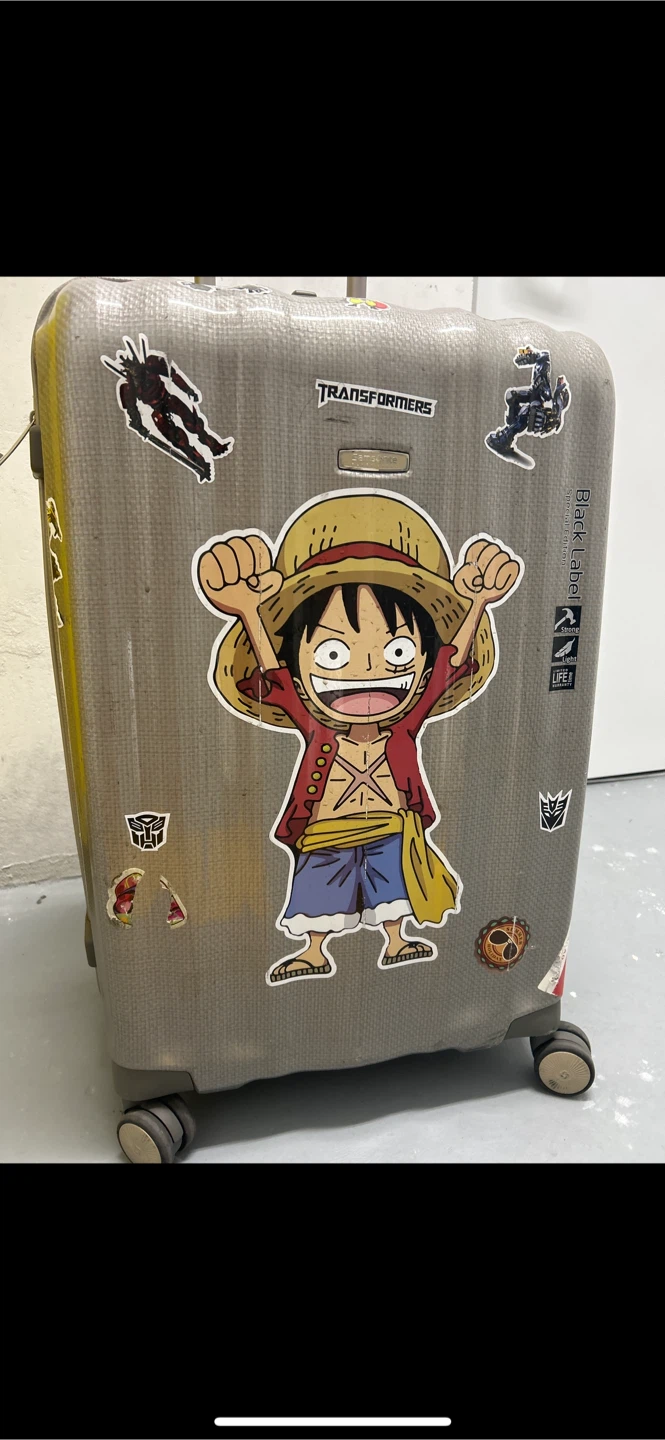 Free carry on and 2 Checked Luggages - photo 4
