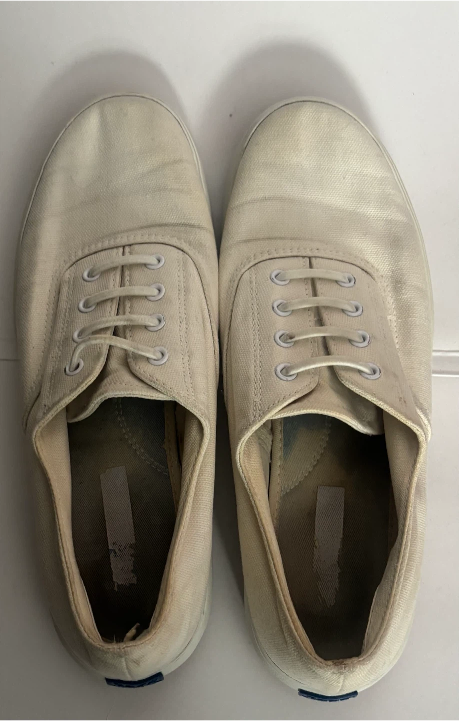 Keds Canvas Sneakers