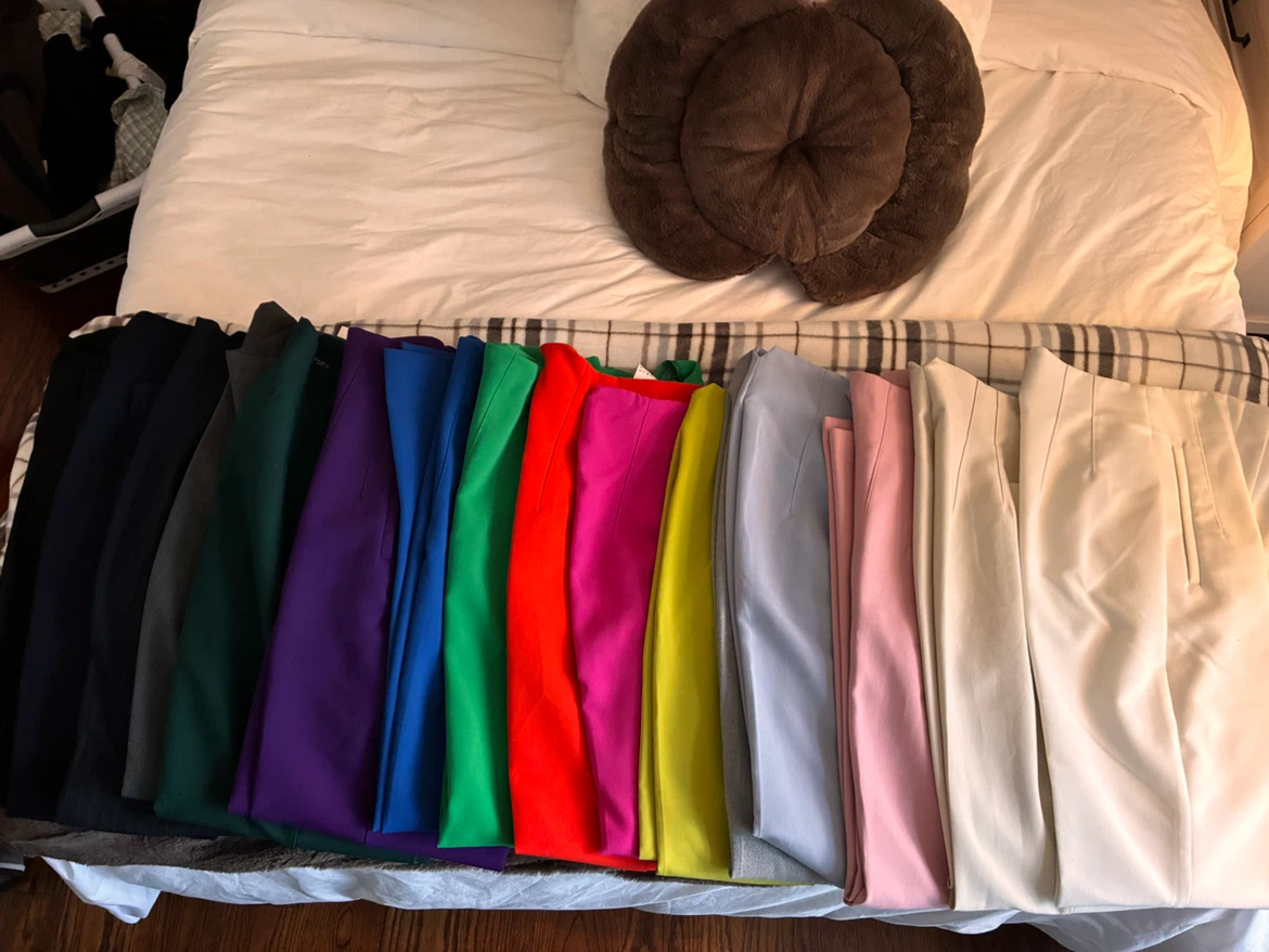 ZARA Assorted Colorful Trousers Collection