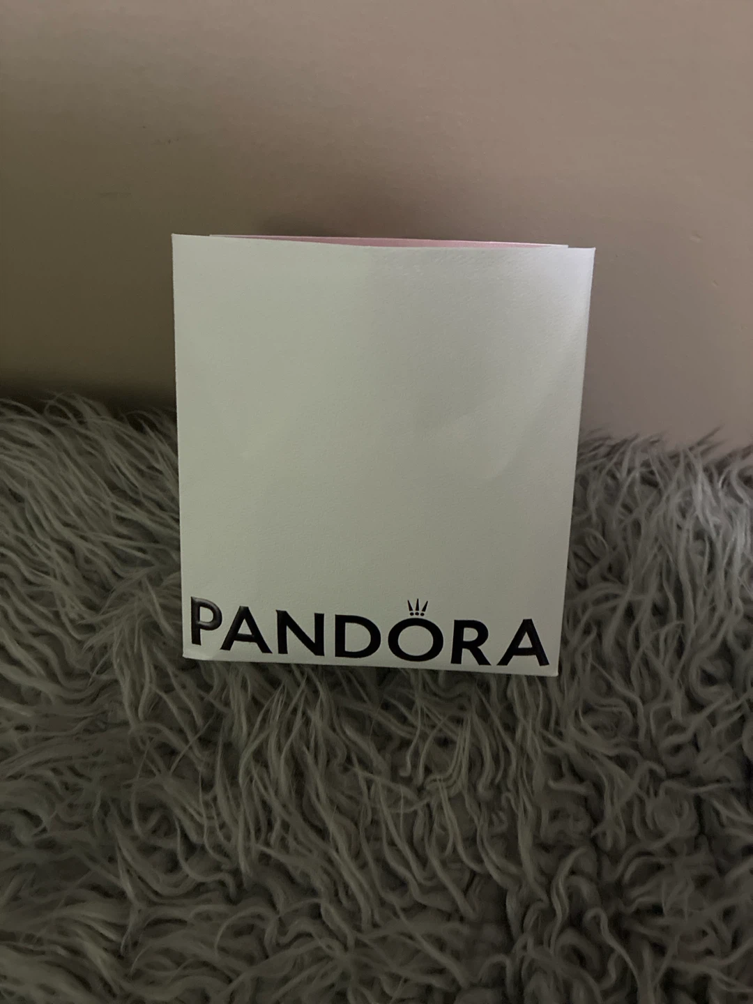 Pandora Jewelry Care Kit - photo 3