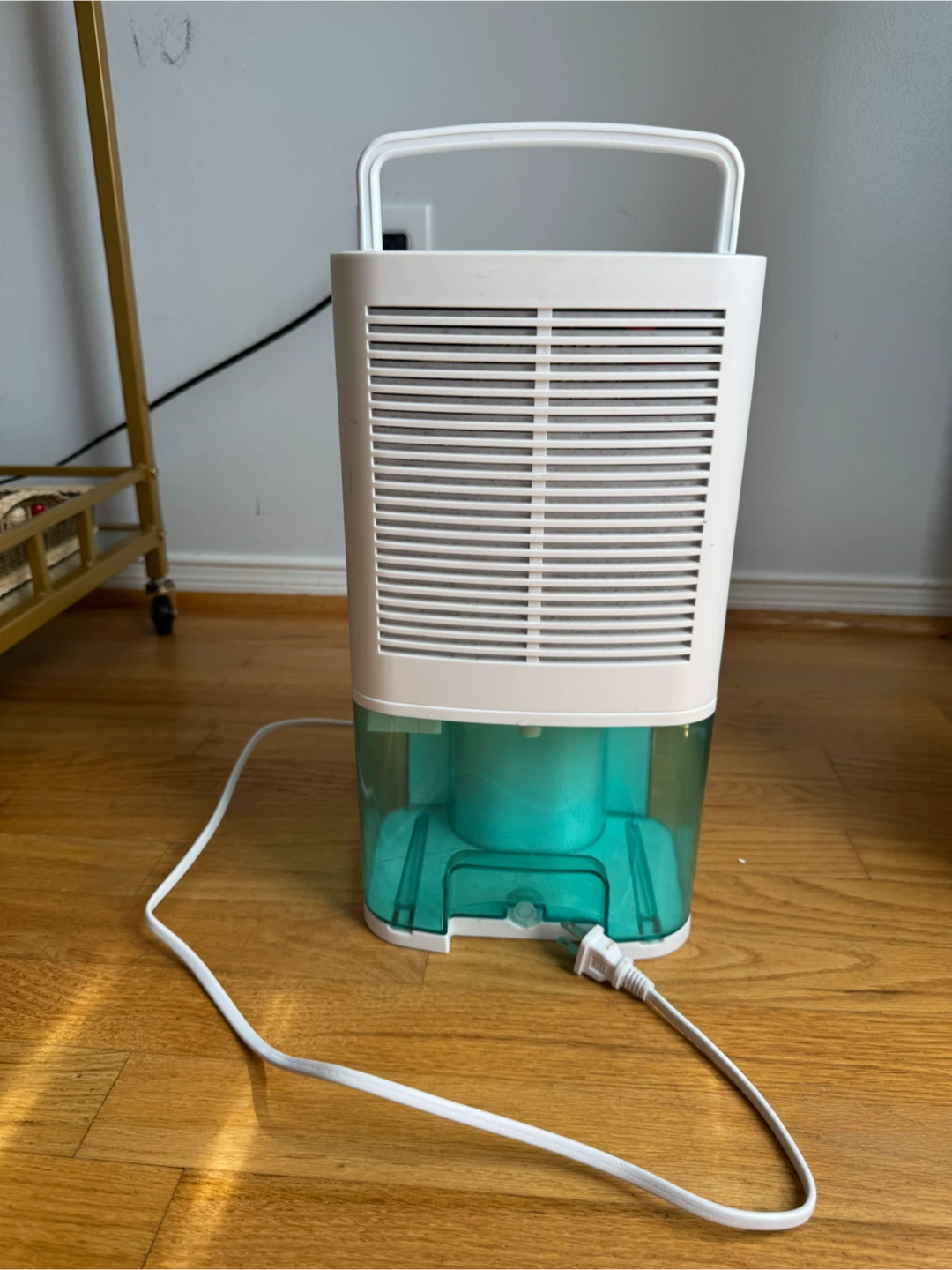 Portable Mini Dehumidifier