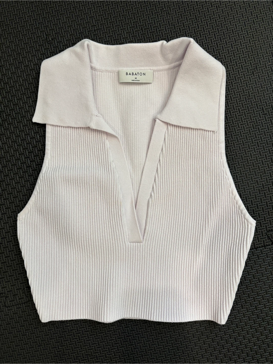 Babaton Aritzia Ribbed Collared Tank