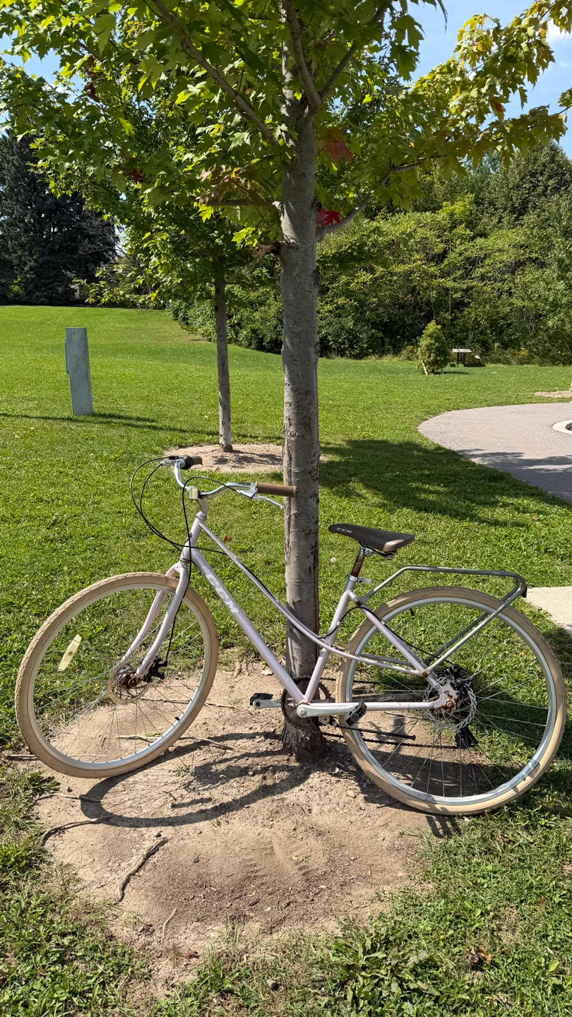 CCM City Bicycle - With Rack