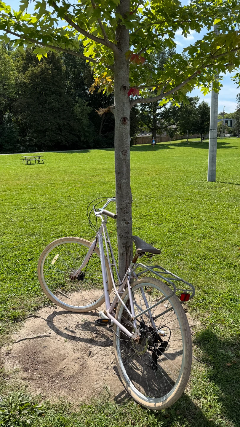 CCM City Bicycle - With Rack - photo 2