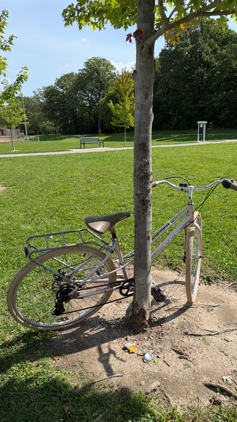 CCM City Bicycle - With Rack - photo 3