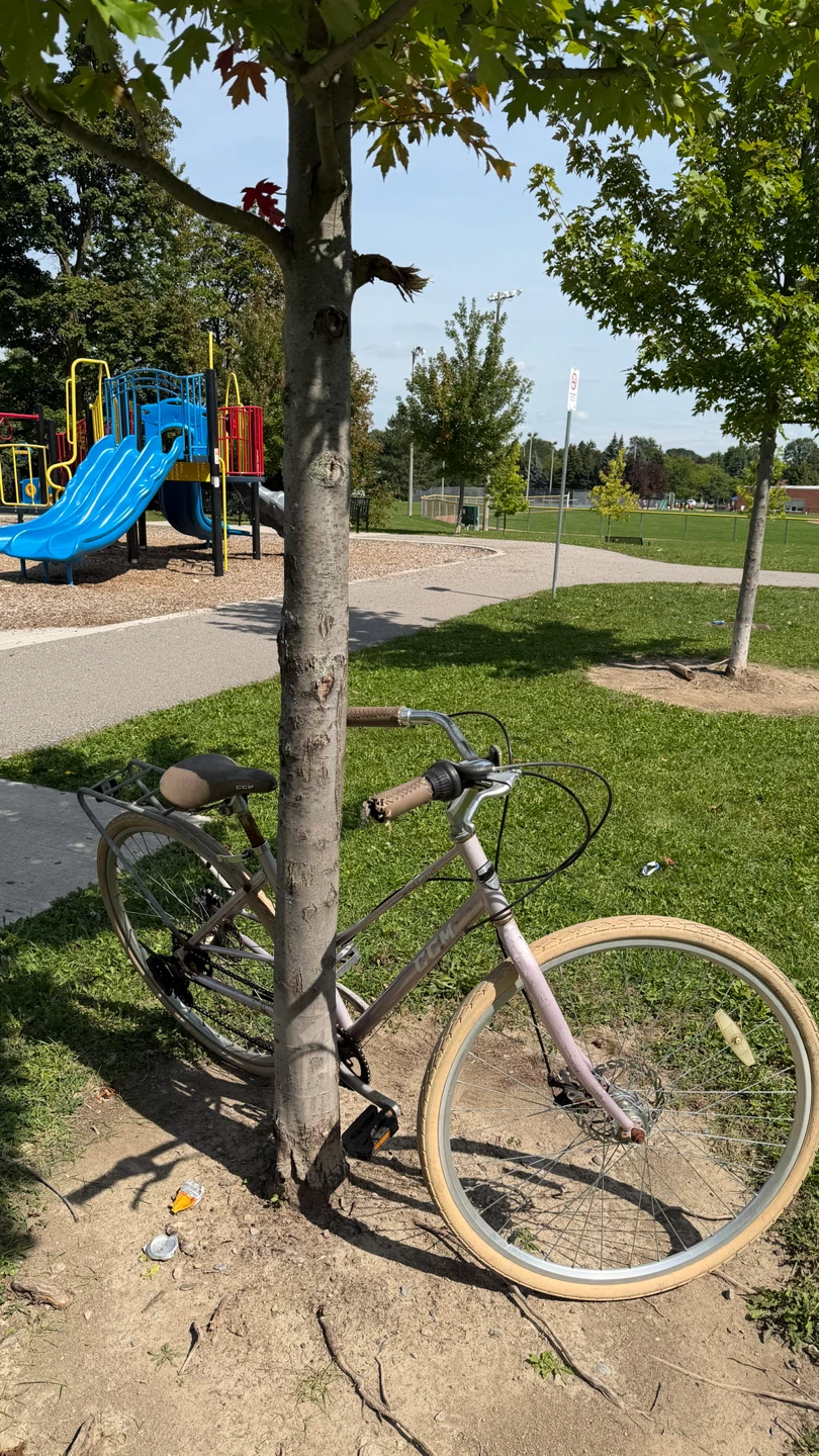 CCM City Bicycle - With Rack - photo 4
