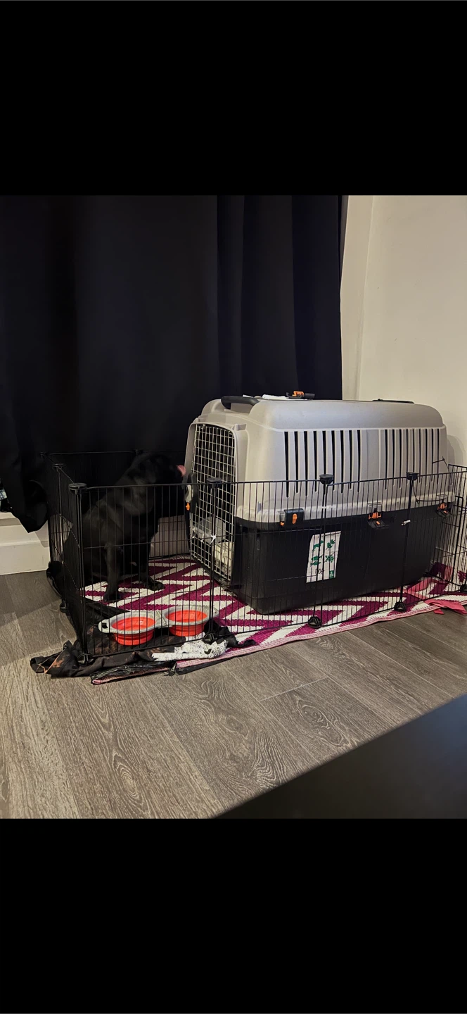 Black Metal Modular Pet Playpen with Door - photo 2