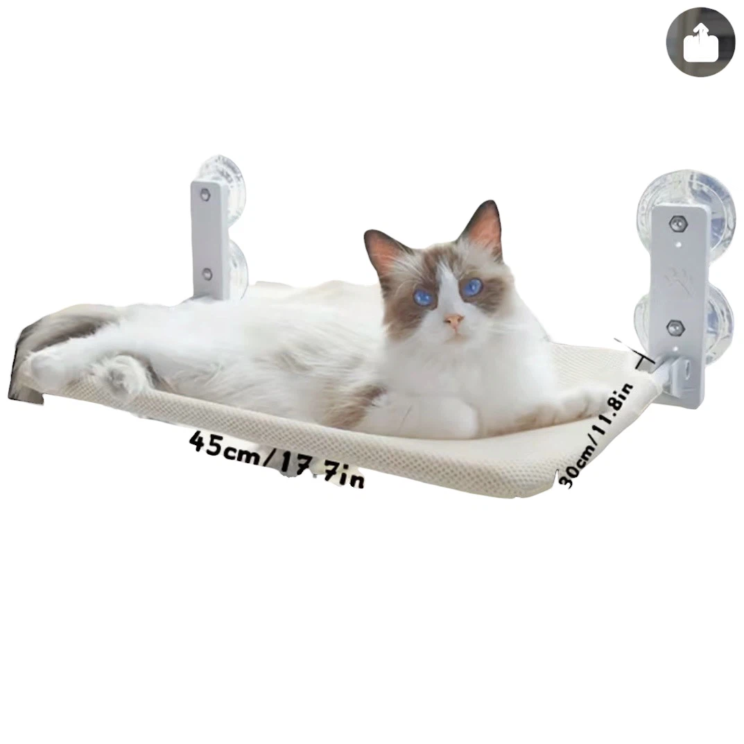 Lot of Cat Items - photo 2