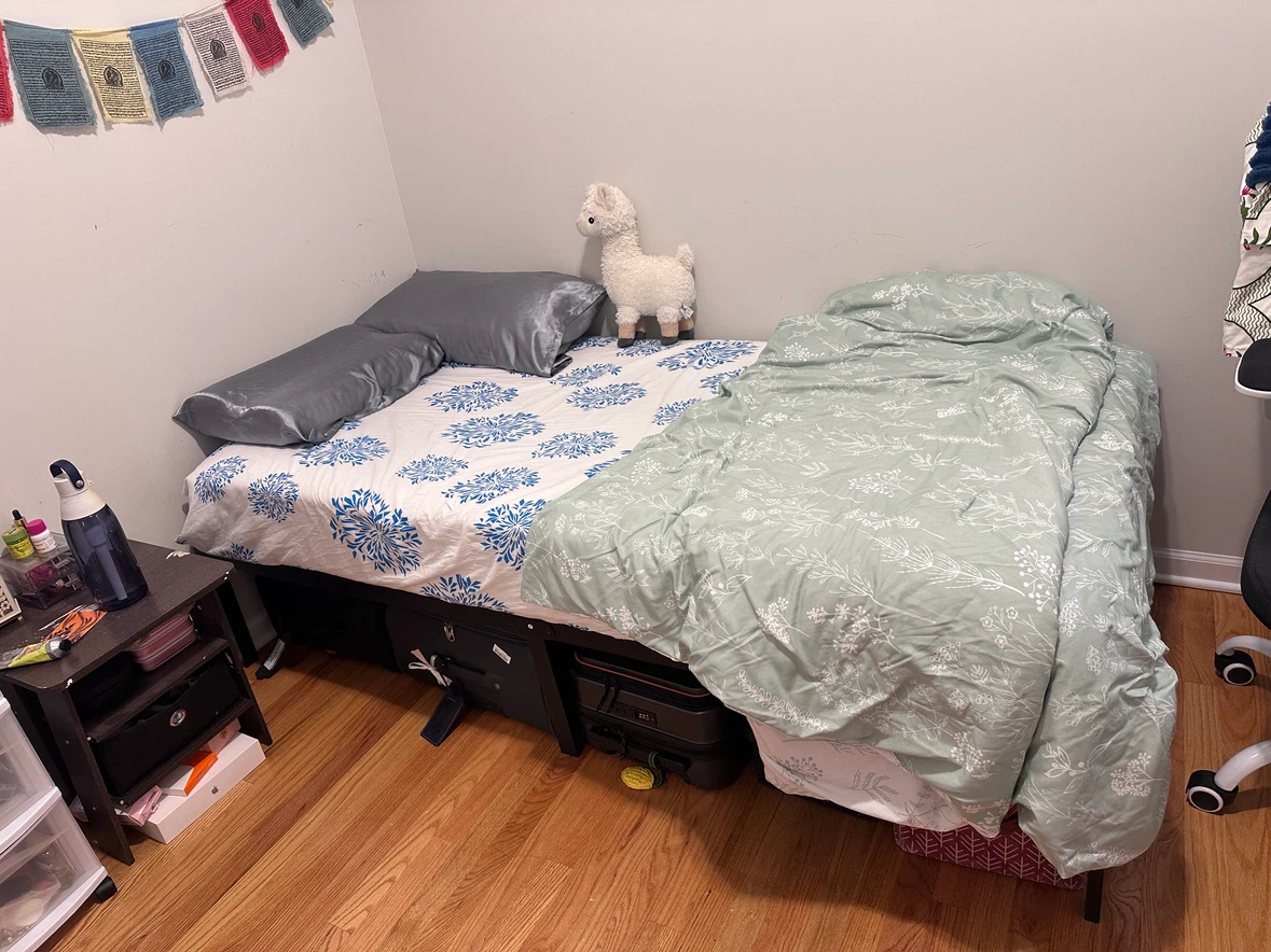 Black Metal Bed Frame