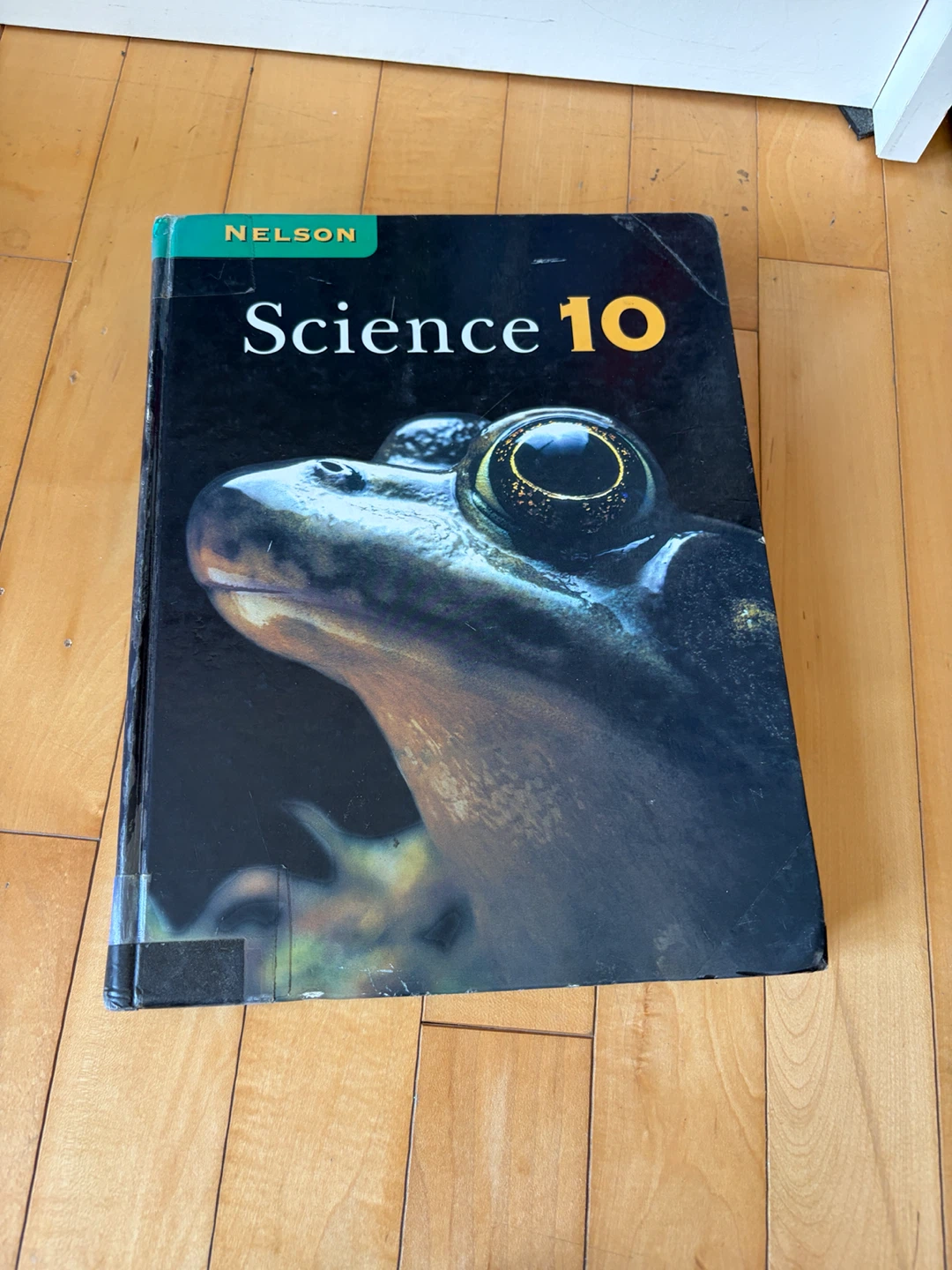 Nelson Science 10 Textbook