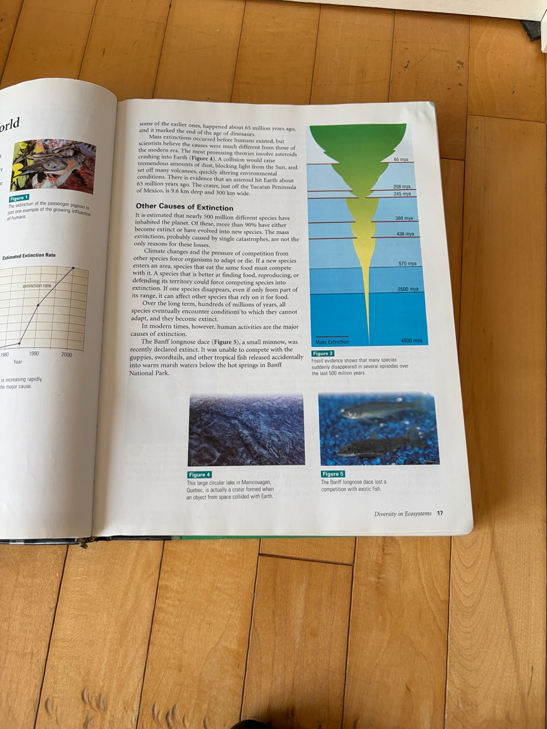 Nelson Science 10 Textbook - photo 3