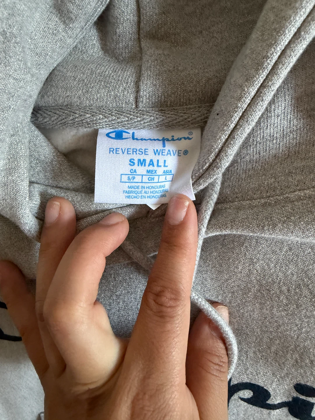 Champion Reverse Weave Hoodie - Gray - Small