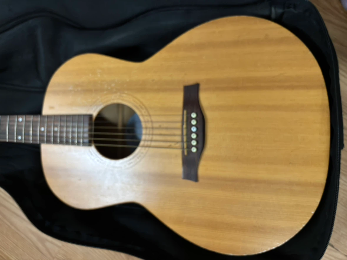 Seagull Acoustic Guitar with Fishman Isys Preamp