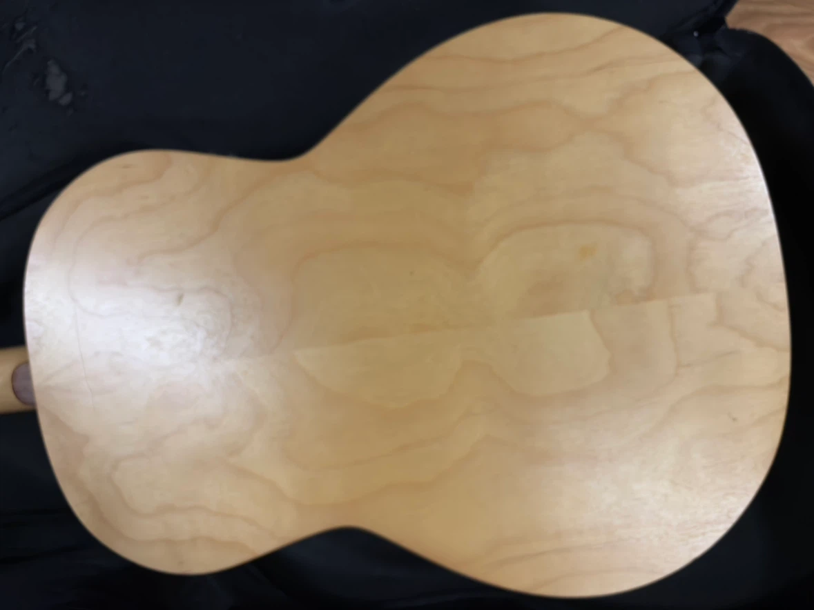 Seagull Acoustic Guitar with Fishman Isys Preamp - photo 2