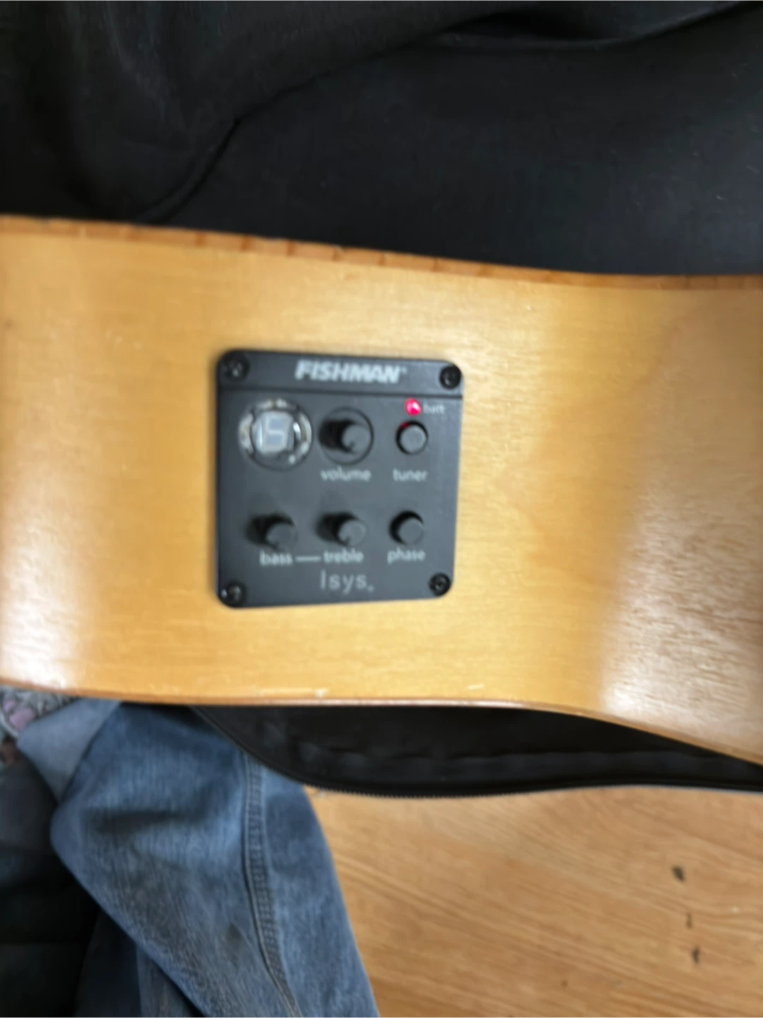 Seagull Acoustic Guitar with Fishman Isys Preamp - photo 5