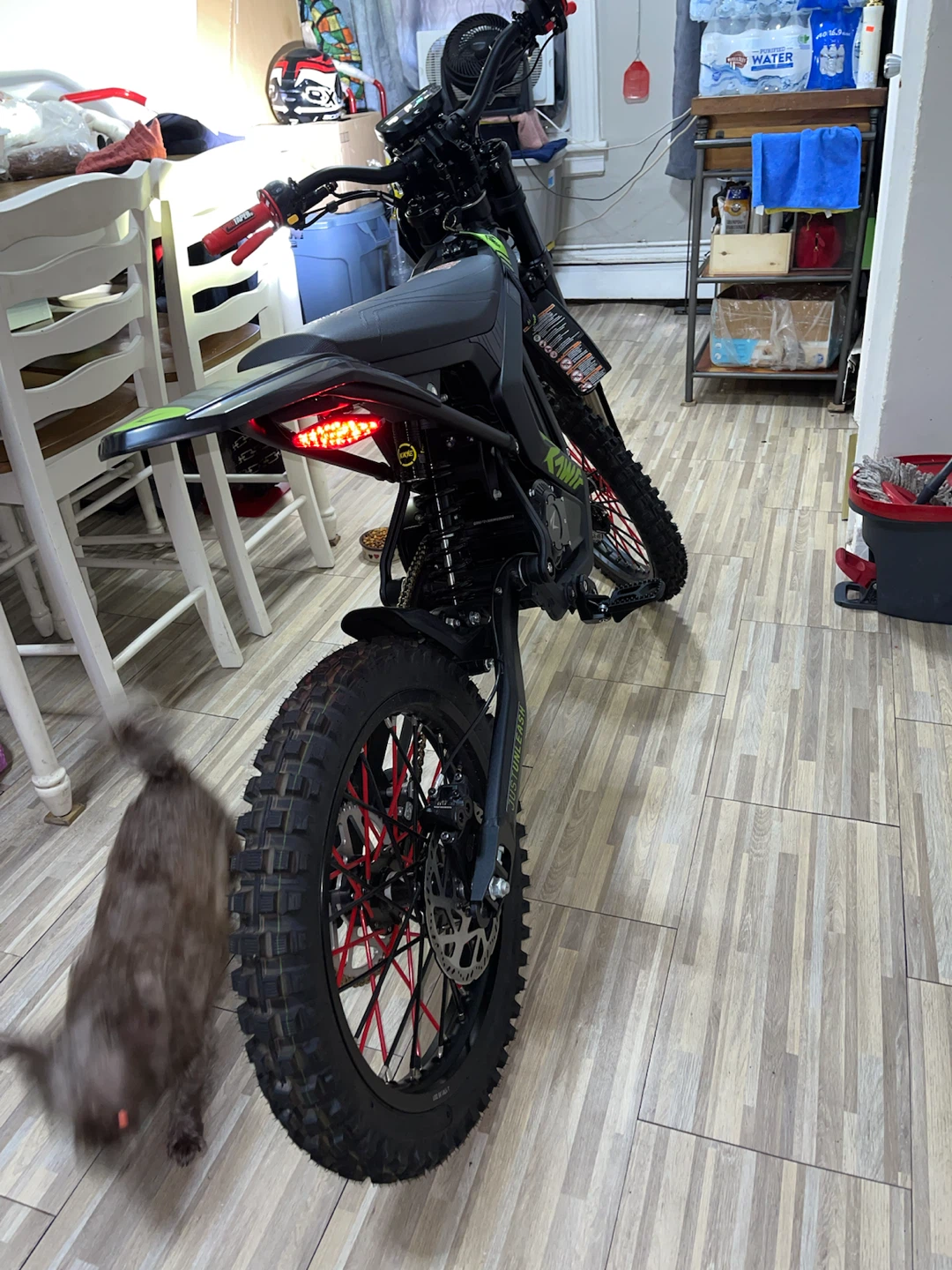 Rawrr Mantis Electric Dirt Bike