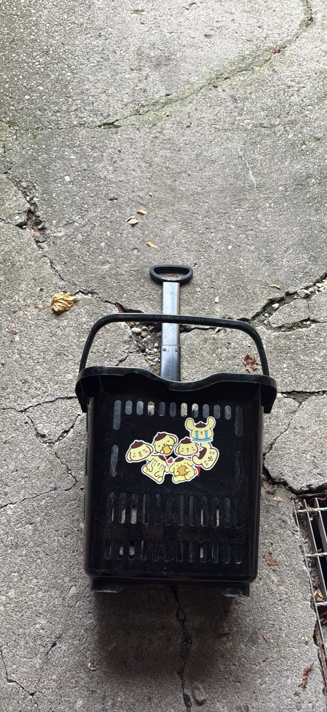 Shopping Cart - photo 5
