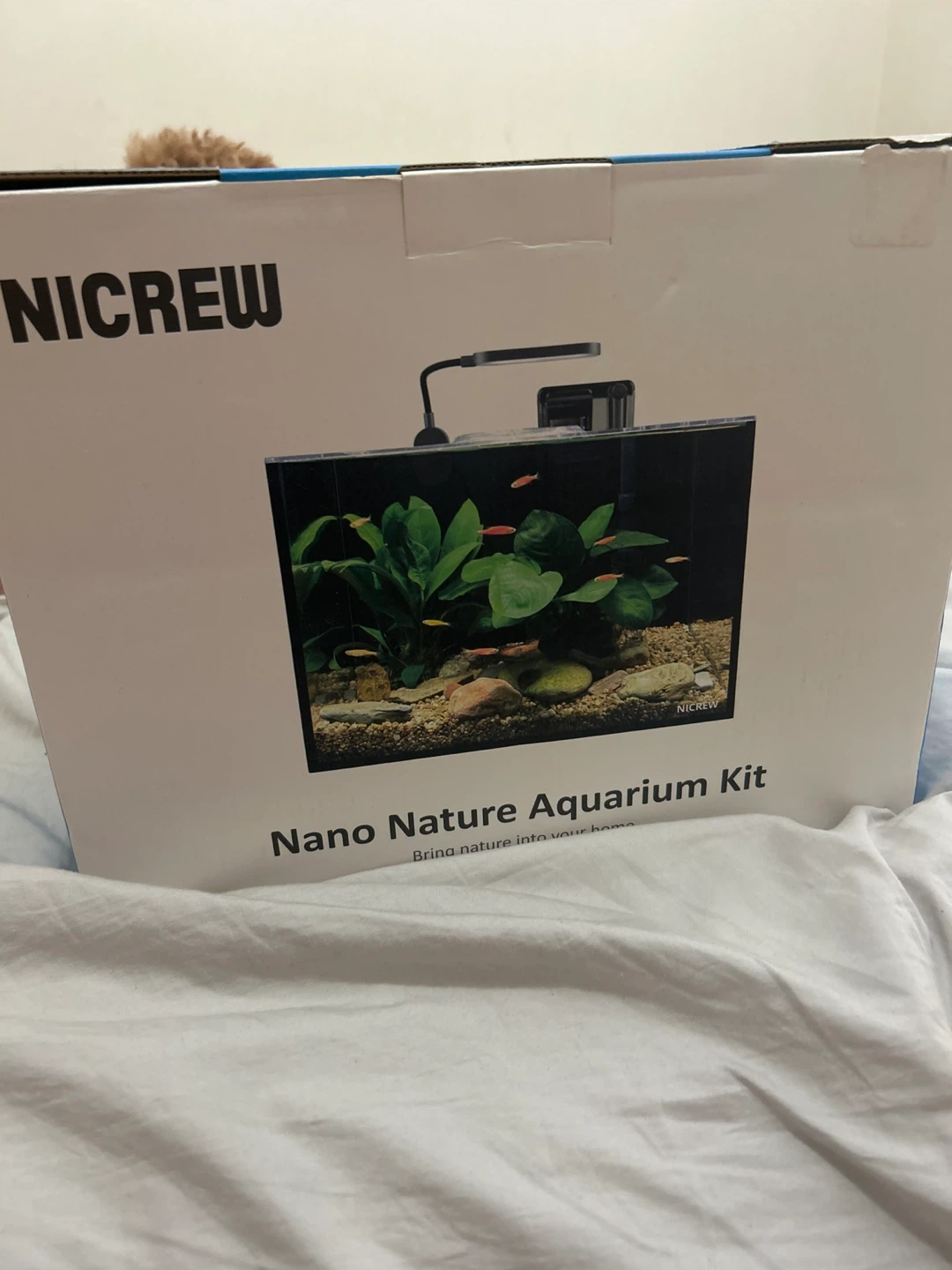 NICREW Nano Nature Aquarium Kit 2.5 Gallon