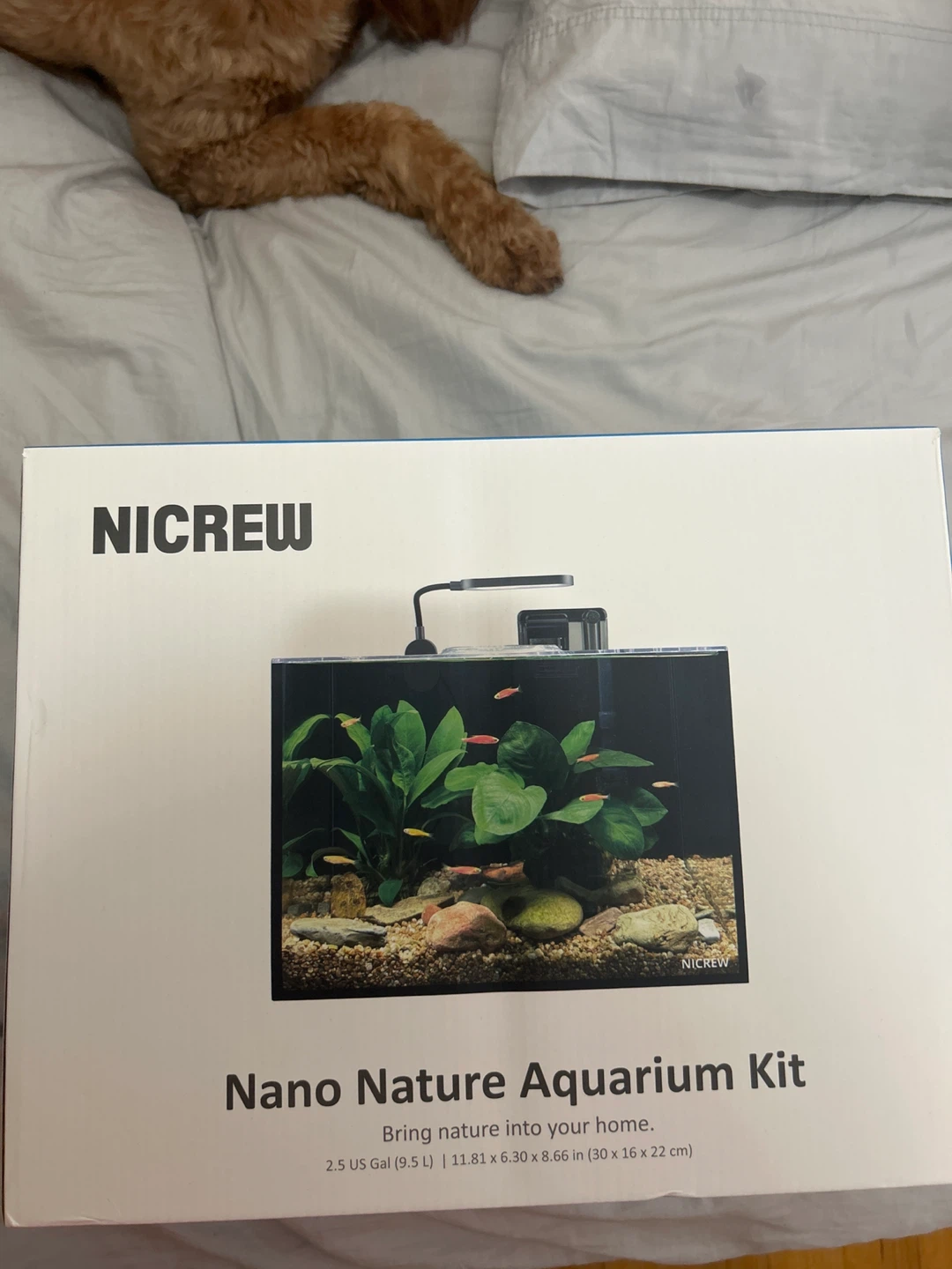 NICREW Nano Nature Aquarium Kit 2.5 Gallon - photo 2