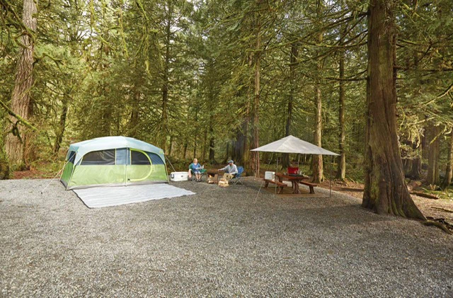 Coleman 10x10 Canopy Shelter