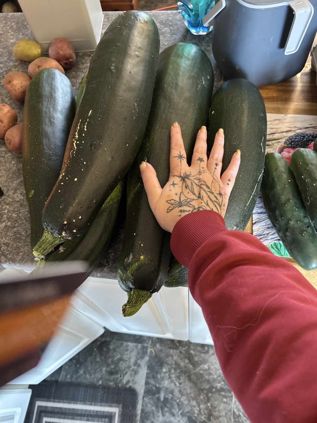 Fresh Garden Zucchini and Cucumbers