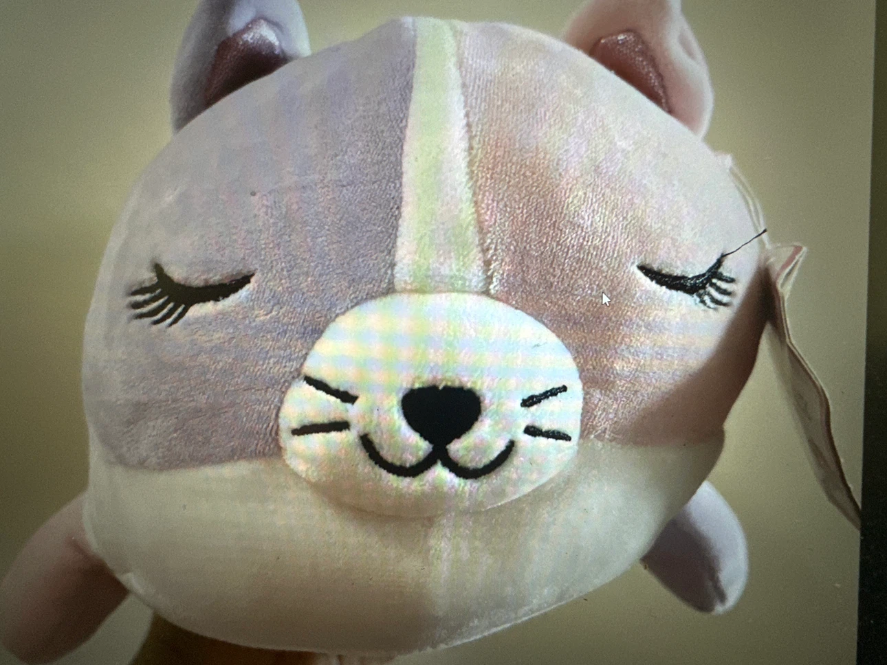 Squishmallows Cat Plush