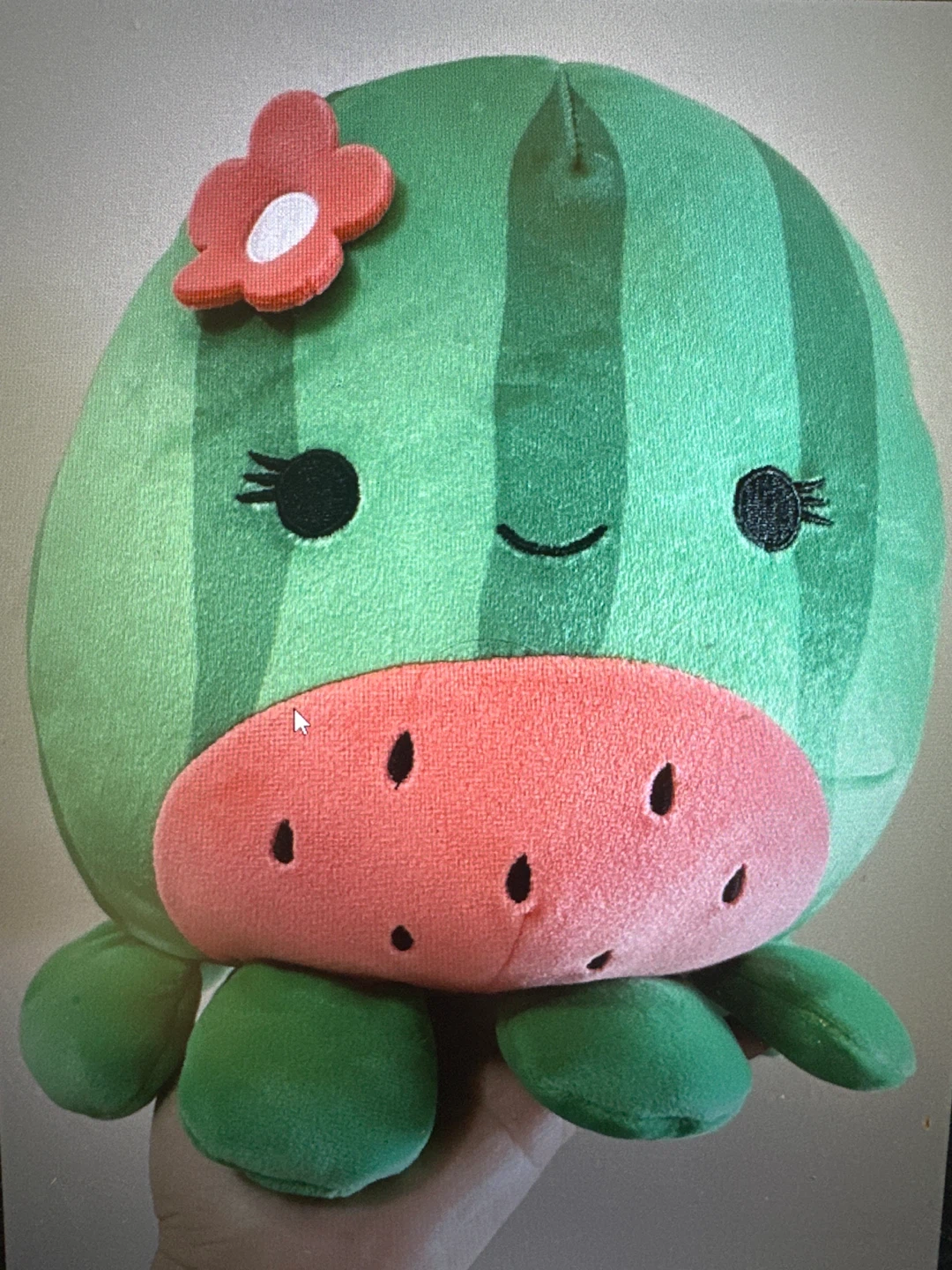 Squishmallows Watermelon Plush Toy