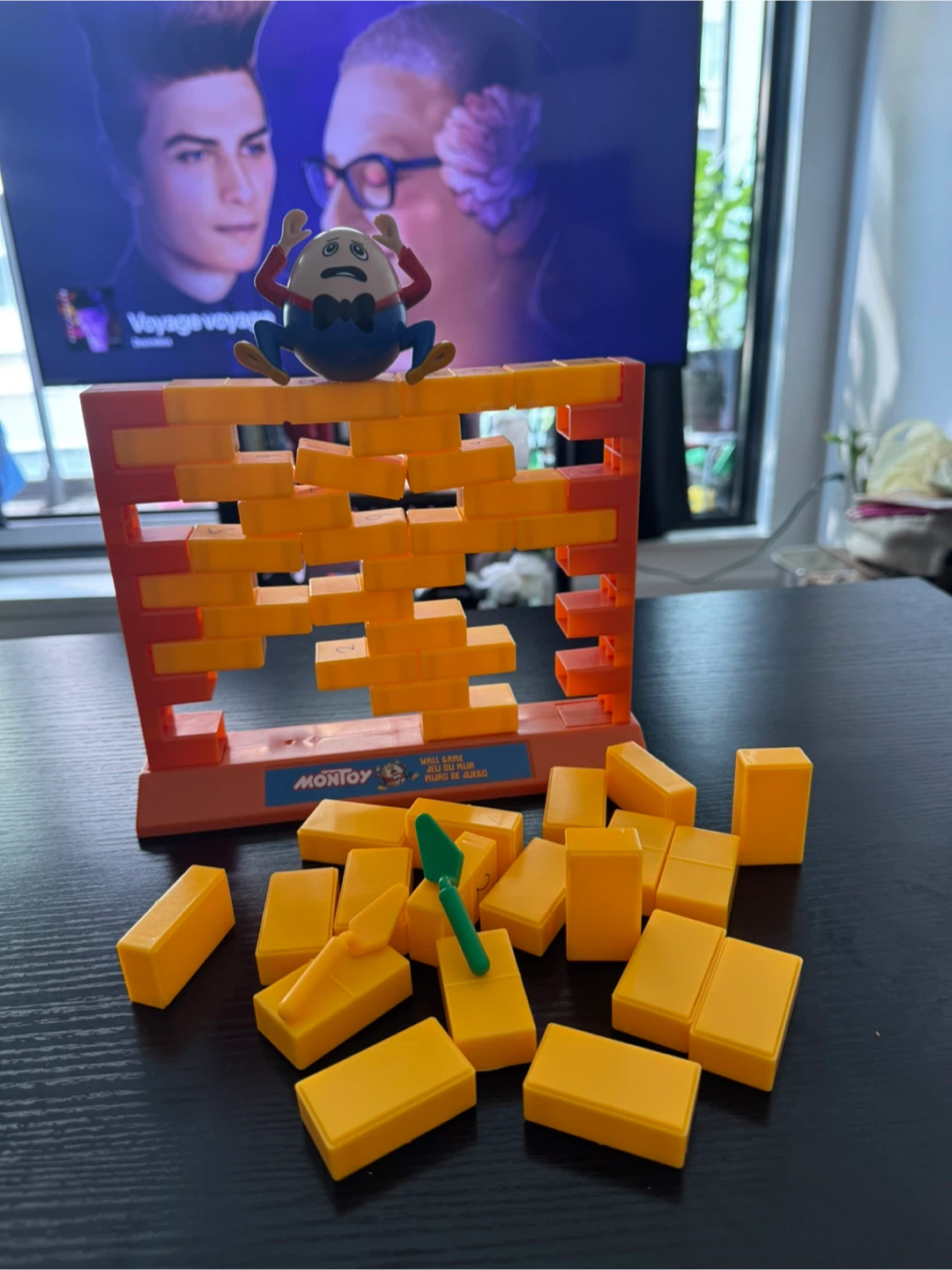 Montoy Wall Game - photo 3